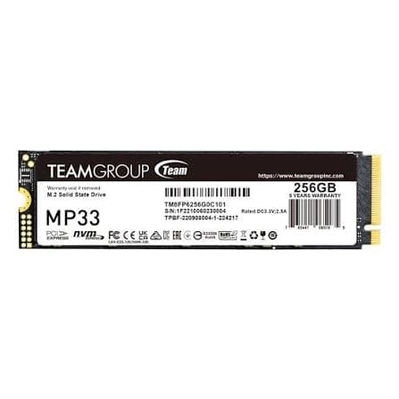 TeamGroup 256GB